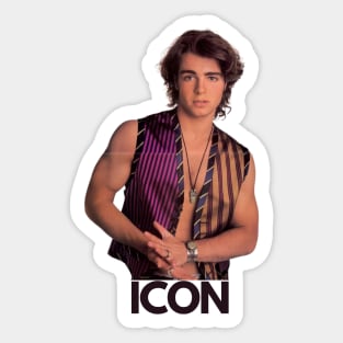 ICON - Joey Lawrence Sticker